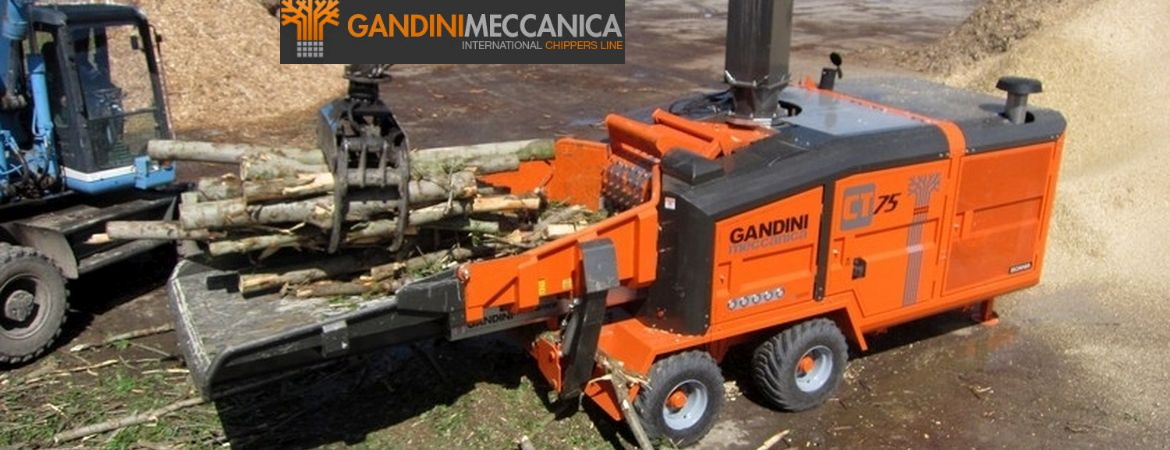 Gandini